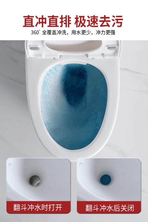 家用翻板马桶陶瓷直冲式防冻翻斗抽水直排直落式卫生间坐便器 佐藤款