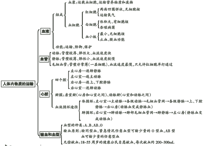 1,第四章人体内物质的运输知识导图