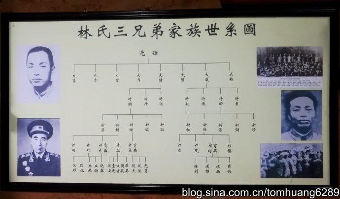 从家族世系图,可以看出林育南和林育蓉是一个爷爷的,而与林育英是一