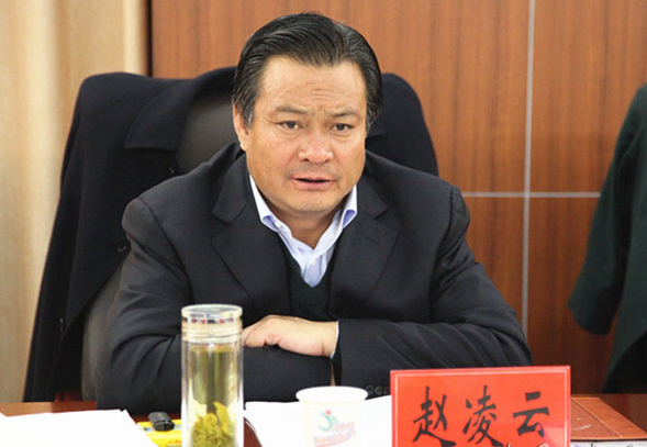 文化旅游发展委员会主任,甘南州州委副书记,州长赵凌云主持召开大会