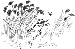 梨香香的□菠萝甜甜的□还有苹果□橘子□好多好多香