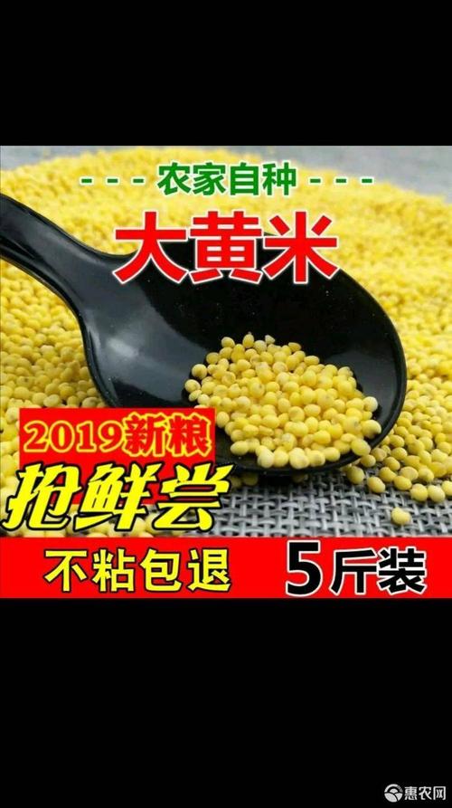 [大黄米批发]2021年蔚县特产(特黏)大黄米(包邮)自产.