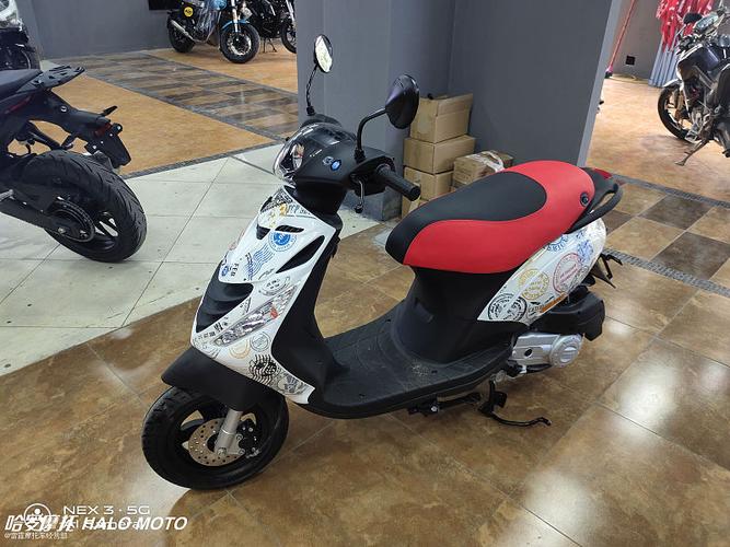 宗申比亚乔zip100