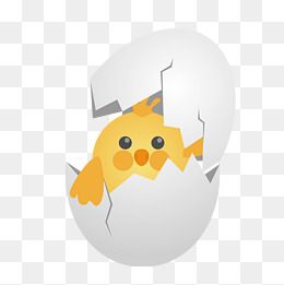 曾经两次从农家把受精鸡蛋带回家想自己把小鸡孵化出来