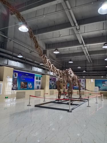 写美篇   宁夏灵武恐龙地质博物馆作为历史博物馆陈列有世界最大的