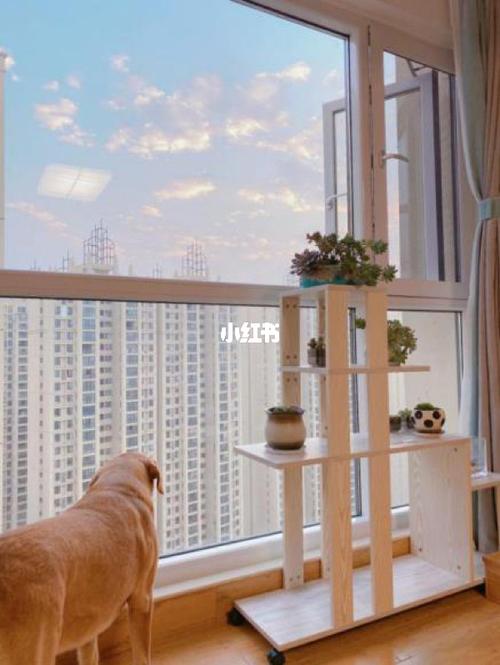 喜欢养宠物却不想封阳台?生命面前安全第一_阳台_宠物