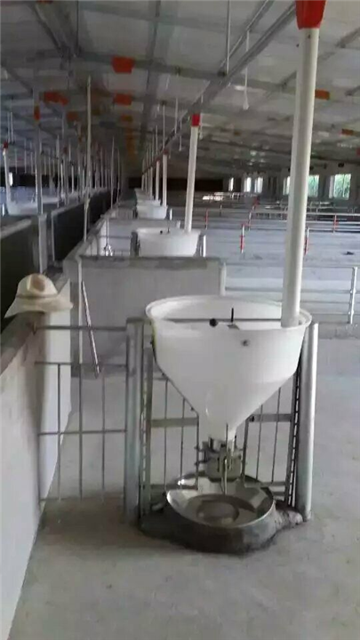 南京【养猪自动喂料机】厂家直销价格