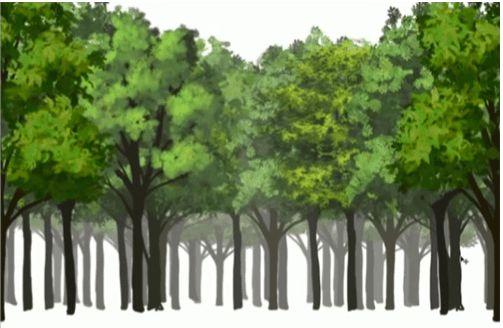 画森林就是这么简单教你花3分钟画出一片森林