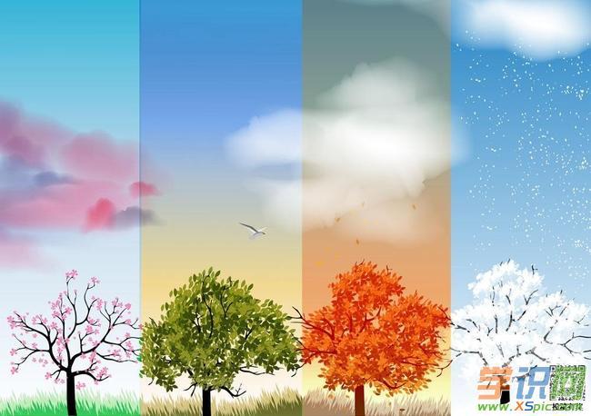 关于四季的作文300字:春夏秋冬的故事