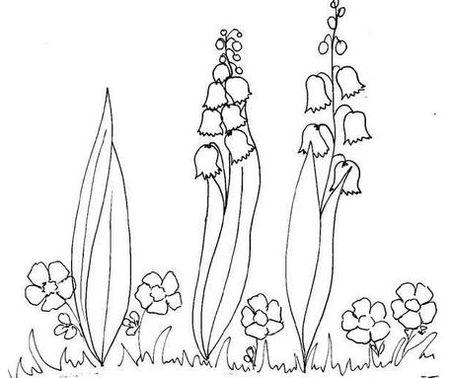 简笔画 手绘 线稿 450378