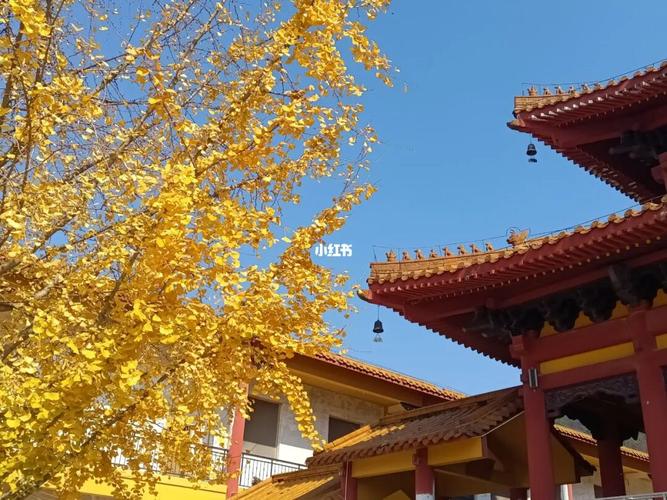 洗心禅寺_寺庙祈福_景点_寺庙_洗心禅寺_出行_人文风光展示_景点展示