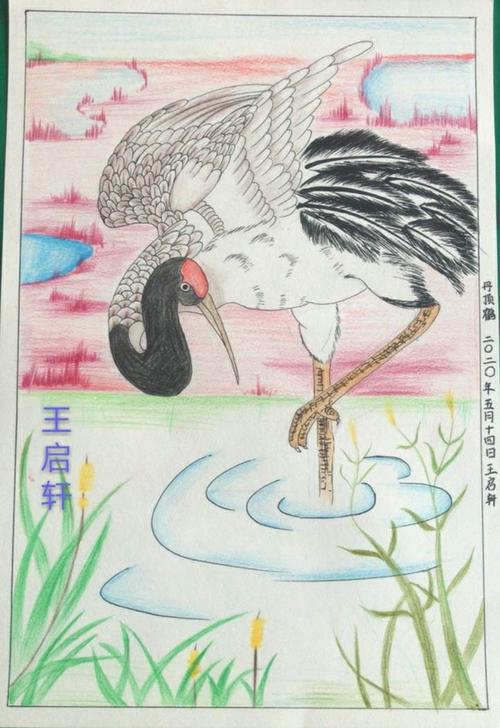 2020世界候鸟日"画鸟,懂鸟,爱鸟,护鸟"绘画比赛圆满成功!