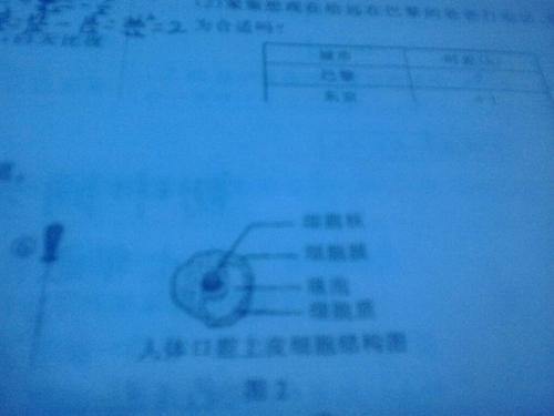 图2是孙悟同学所绘的人体口腔上皮细胞结构图,请你指出图中存在的错误
