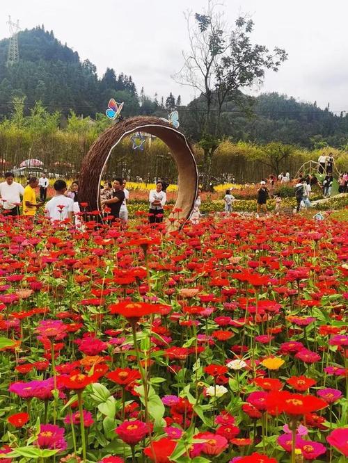 兴义的一个景点又火了还原农村味道的打柴山景区