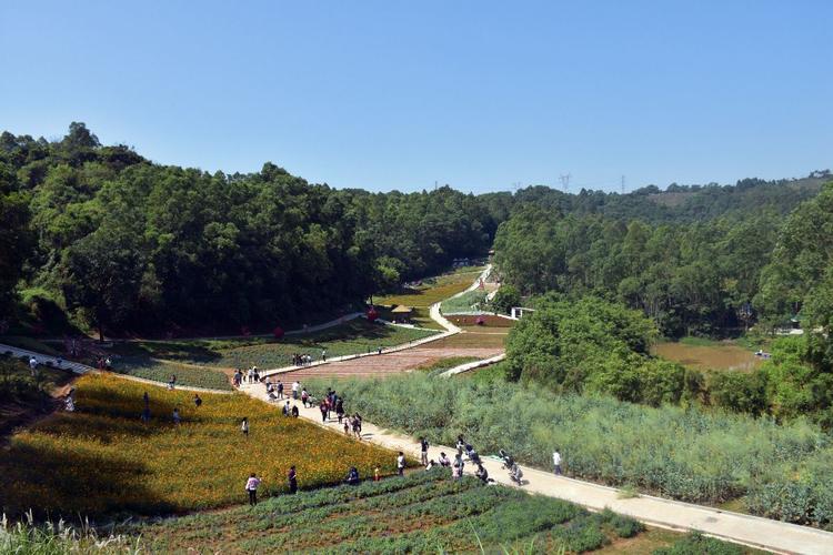 写美篇深圳九龙山坐落于深圳市观澜镇钟灵毓秀的九龙山风景区,拥有总