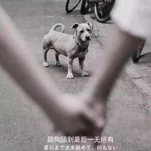 菜月昴究竟是不是舔狗?放在现实中绝对是,但动漫和现实不一样