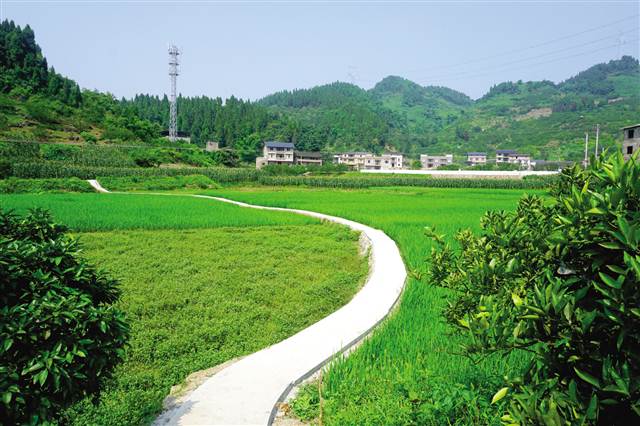 改善农村人居环境,建设美丽宜居乡村,是惠及广大农民的德政工程,民心