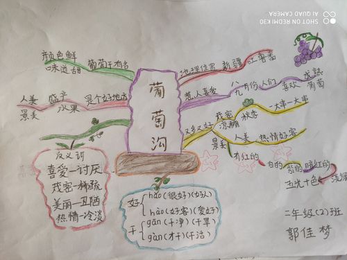 《葡萄沟》思维导图