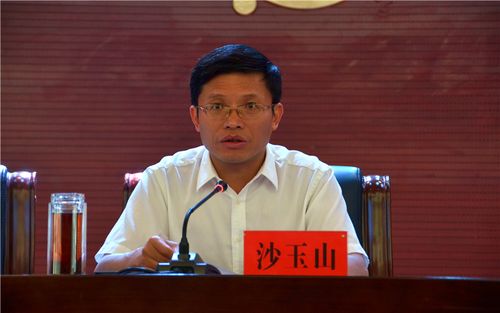 西湖光纤音频线_鑫立特_好质量采购_批发进货市场