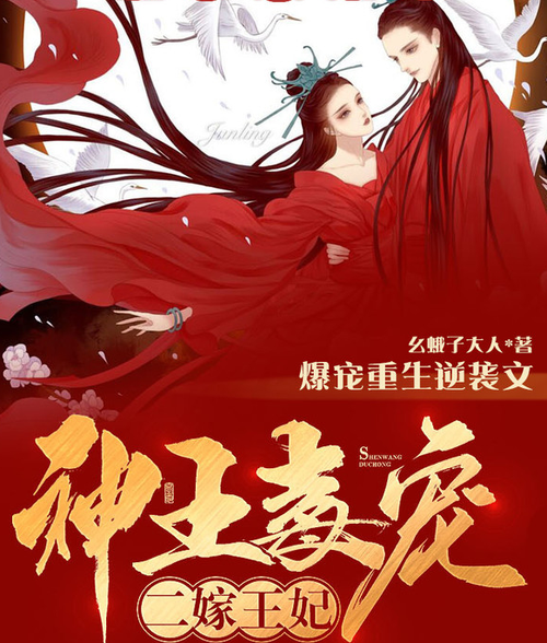 《神王毒宠:二嫁王妃》有声小说 播讲_半纸鸿鹊