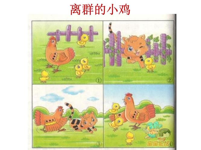 看图写话《离群的小鸡》学案.ppt