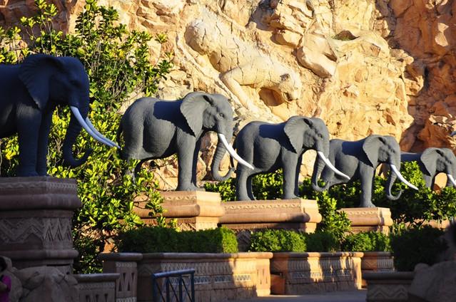 南非国家动物园游记_途牛