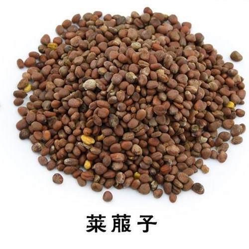 满2斤包邮 中药材 莱菔子 生莱菔子 萝卜籽 紫苏子 白芥子500g_7折