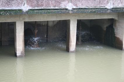 油坝乡局部地区稻田成鱼塘,村民奋起救灾