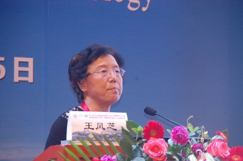 王凤芝