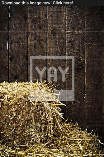 bale of straw and wooden background