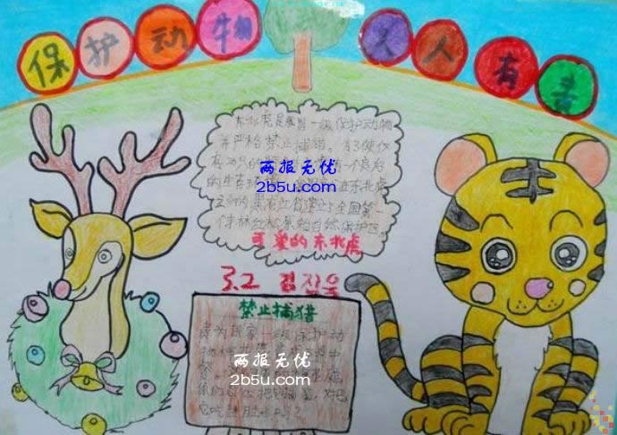 关于小动物的手抄报