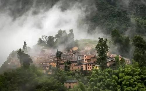张友钢/摄 《寨头晨曦》      "田家少闲月,五月人倍忙",松阳被