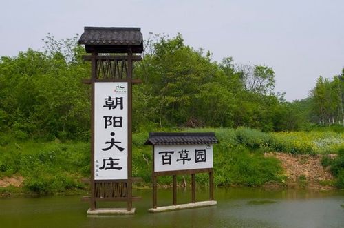 南京江宁美丽乡村一日"游"(一)图片29,江宁旅游景点,风景名胜 - 蚂