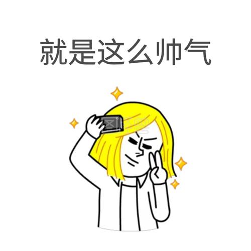 就是这么帅气表情包