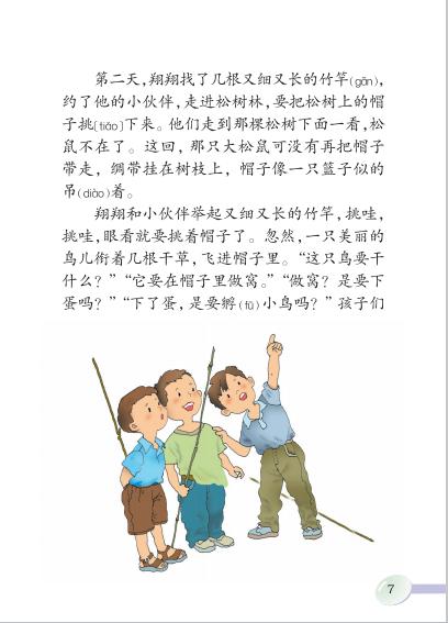第二课帽子和鸟窝