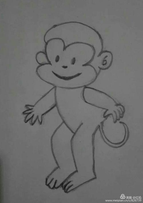 我本人属monkey的,所以画了这么多形态各异的monkey