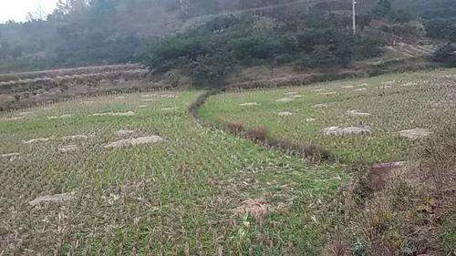 慈利县杨柳铺乡康庄村2组一水塘无法蓄水