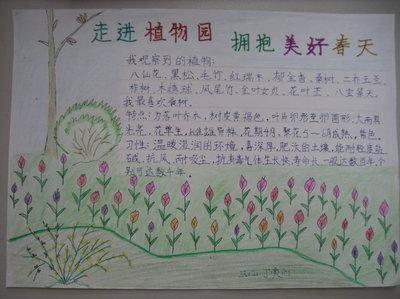 有没有植物园的手抄报 植物园手抄报