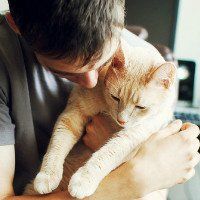 qq头像男生抱着猫