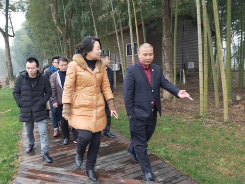 宜黄县政府常务副县长余娜陪同考察.