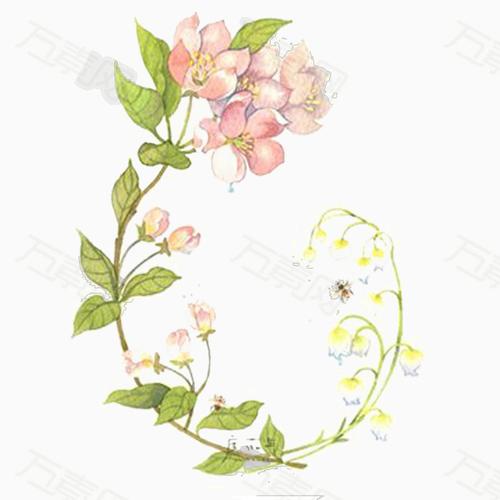 手绘花朵藤蔓装饰