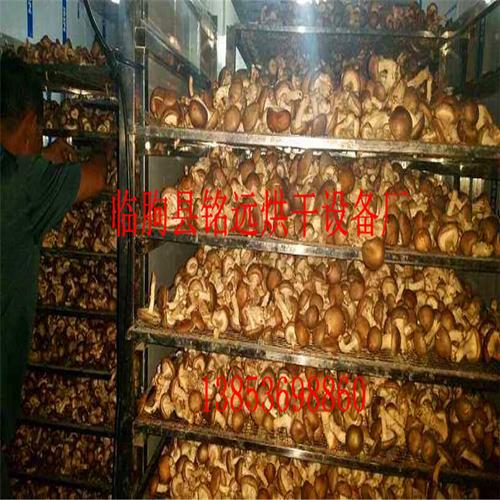 香菇 蘑菇烘干机 智能菌菇类烘干设备 羊肚菌烘干箱 节能环保