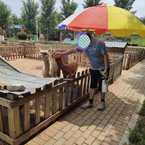 曲阜新鹿动物园