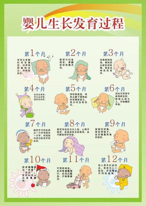 婴儿生长发育过程