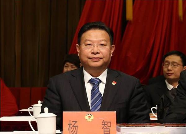 杨智简历