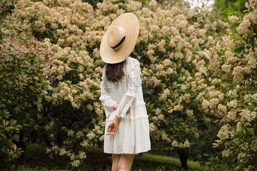 复古美女郊游背影