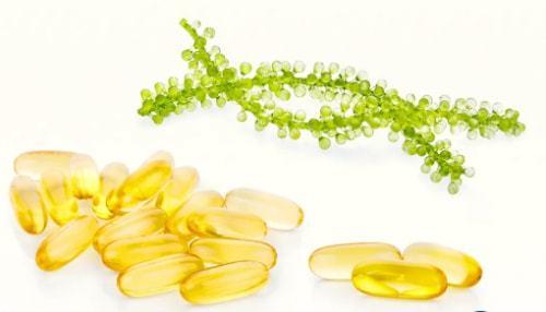 仙乐健康怎么样提供全面的dha藻油软胶囊产品解决方案