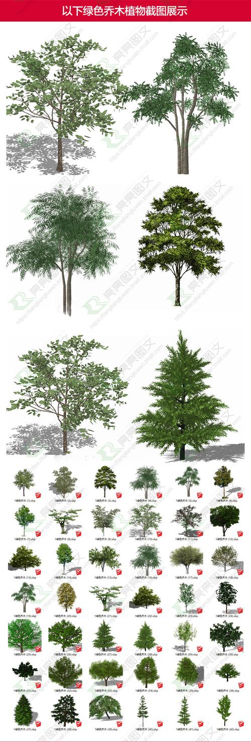 热卖草图大师模型su园林景观植物花草树木乔木花卉灌木sketchup素材库