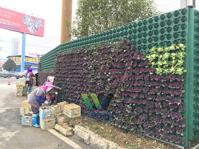 2,净化空气,垂直绿化墙可以吸