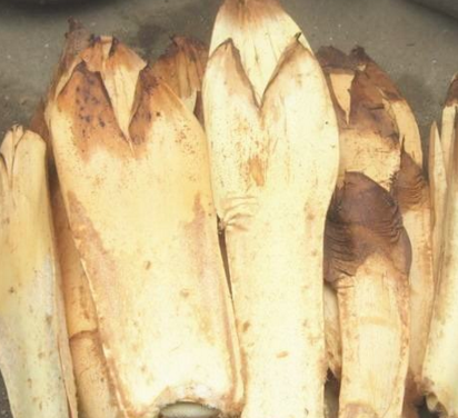 棕包能吃吗?功效和作用有哪些?